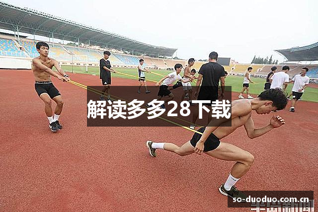 解读多多28下载